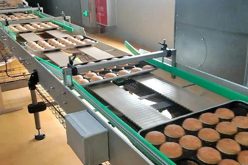 囍——恭祝四川食品廠十萬級凈化車間成功投產(chǎn)，邁向綠色健康新紀(jì)元